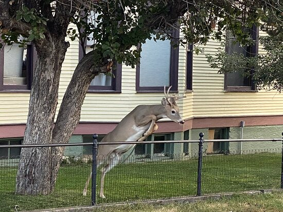 The Pollard Hotel主图