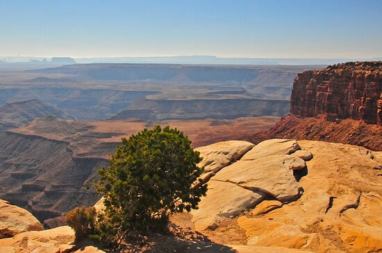 Muley Point Overlook景点图片