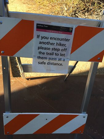 Twentynine Palms Oasis (Oasis of Mara)-约书亚树国家公园必去景点