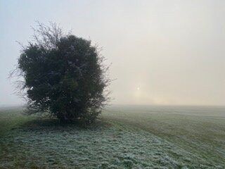 Pedal Progression-布里斯托尔必去景点