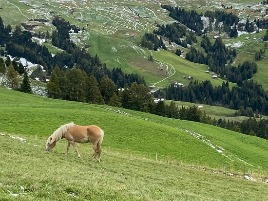 西瑟阿尔姆康帕特思酒店主图