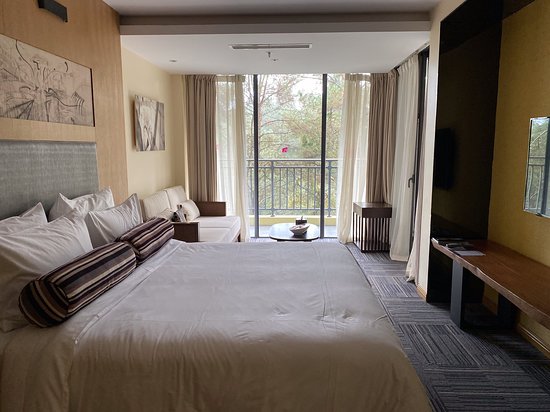 成都石象湖雅乐轩酒店-客卧