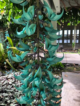 Sadie Seymour Botanical Gardens-凯鲁瓦-柯纳必去景点