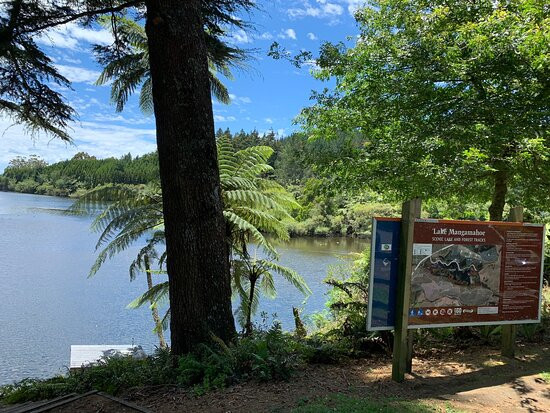 Lake Mangamahoe-新普利默斯必去景点