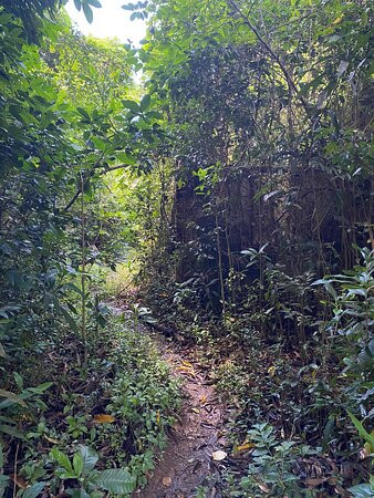 Santa Maria Beach-Havensight必去景点