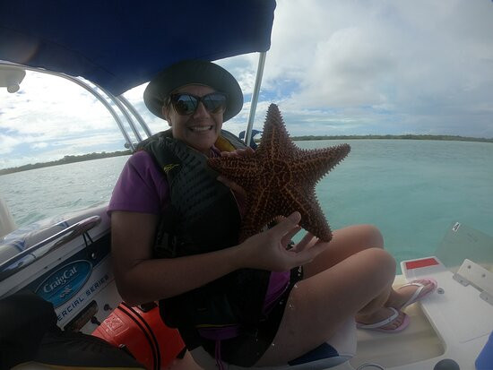 High Wave Tours-普罗维登西亚莱斯必去景点