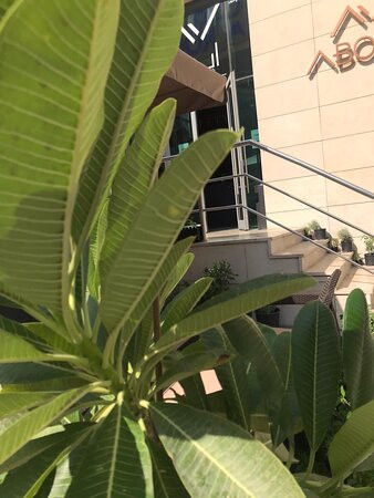 Yaal Mall-Fahaheel必去景点