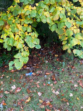 Holiday Inn Express & Suites Richmond-Brandermill-Hull St. by IHG主图