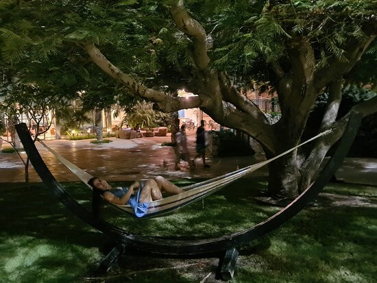 Oasis Spa Club Hotel主图