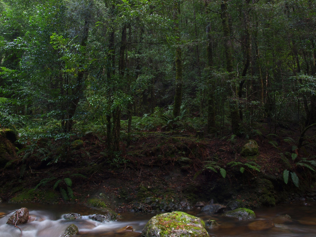 Bridal Veil Falls-Moina必去景点