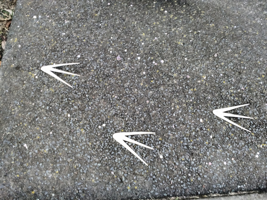 Pakuranga Rotary Walkway-奥克兰中心地区必去景点