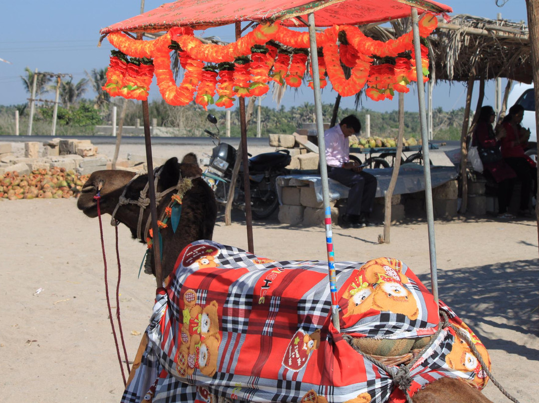 Madhavapur Beach-居那加德必去景点