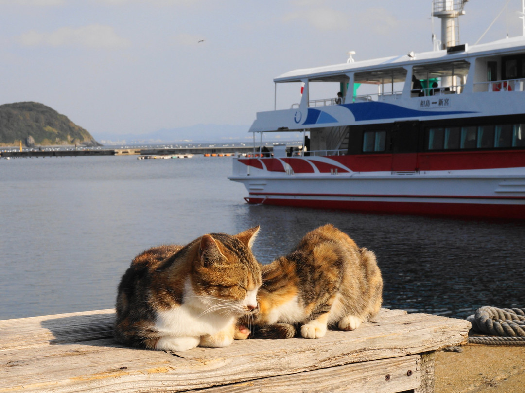 Shingu Municipal Ferry景点图片