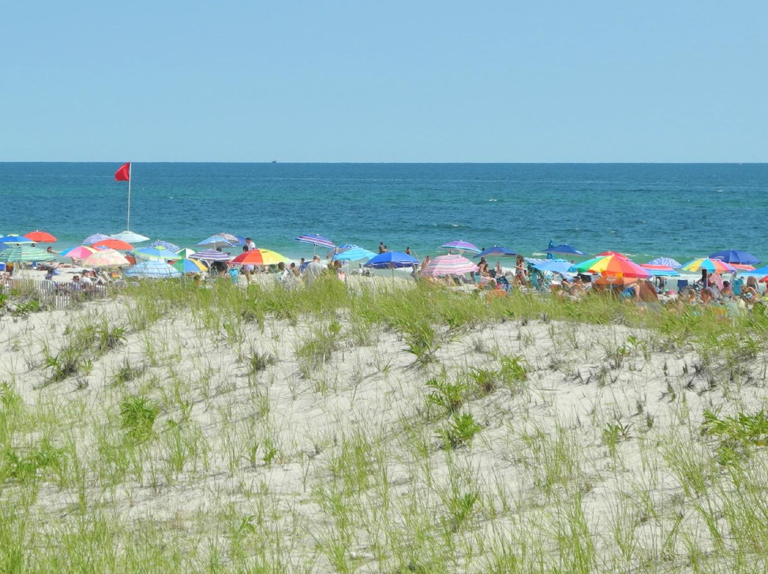 Cupsogue Beach County Park景点图片