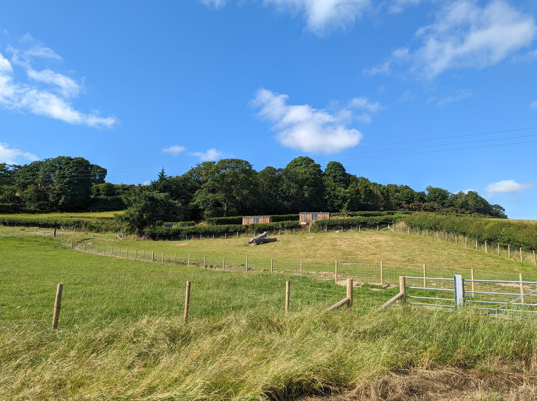Cae Manal Glamping