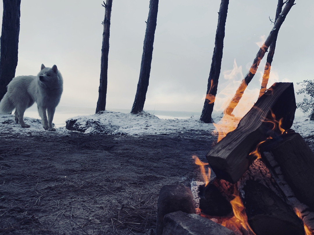 Kulikovo旅游攻略图片