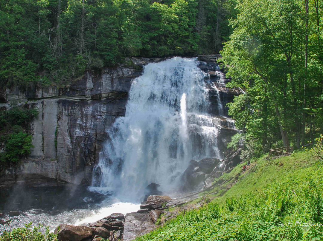 Gorges State Park景点图片