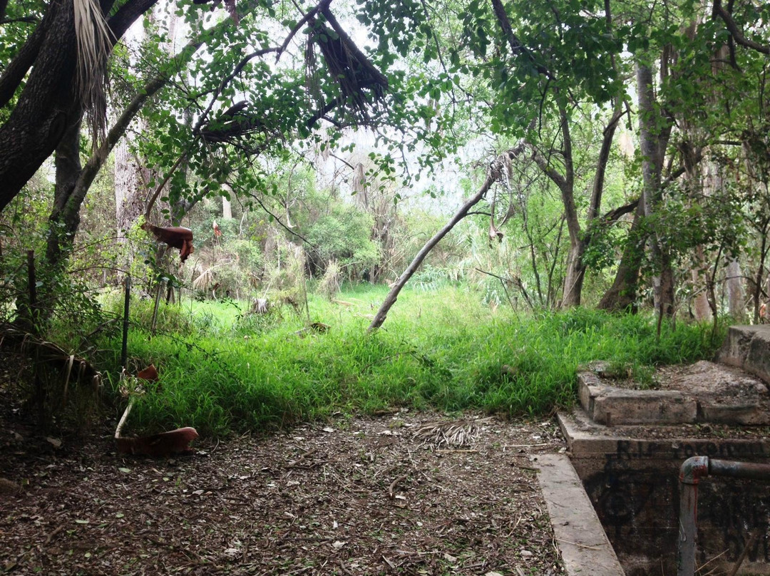 McAllen Nature Center景点图片