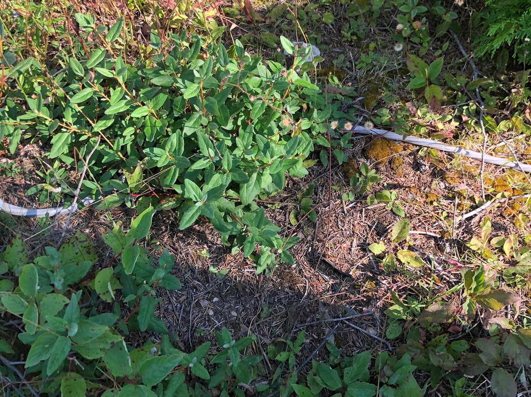 Circuit Nitram Plus-Grande-Riviere必去景点