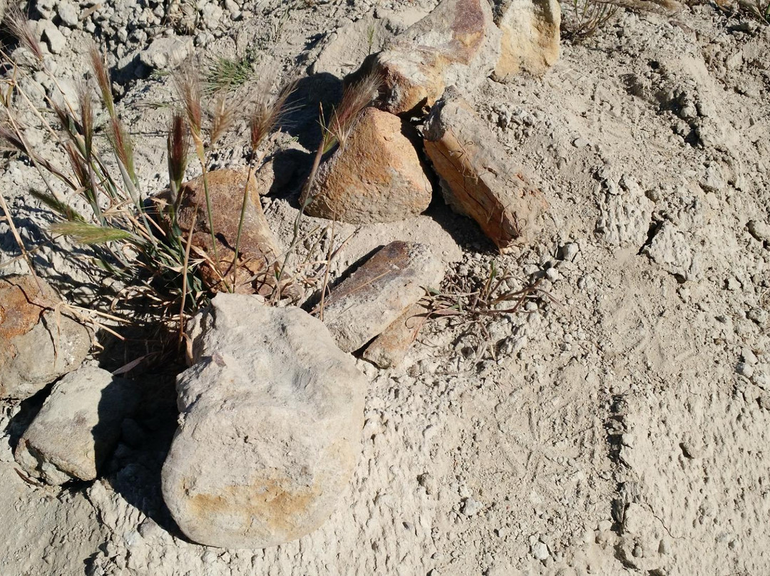 Taft旅游景点-Ernst Quarries