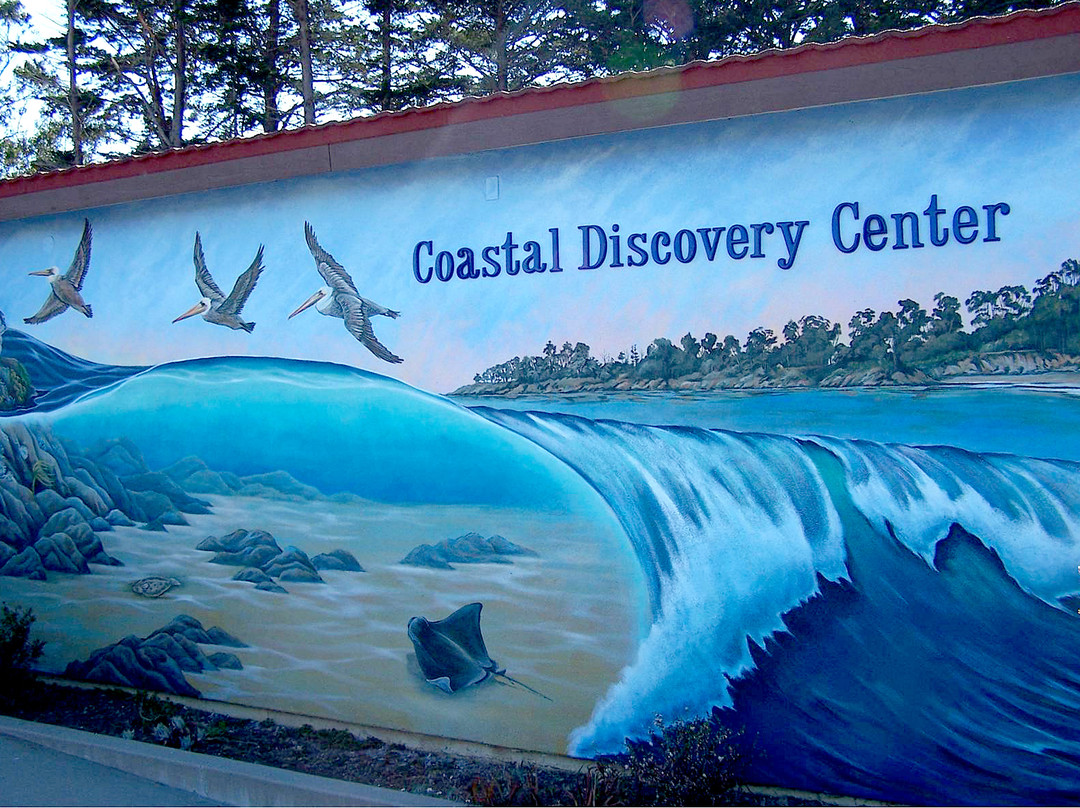 Coastal Discovery Center at San Simeon Bay (Monterey Bay National Marine Sanctuary)景点图片