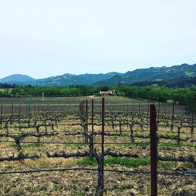 Appellation Wine Tours-奥海必去景点