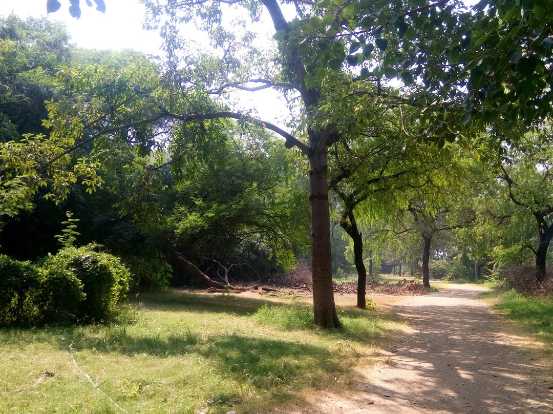 Sarthana Nature Park景点图片