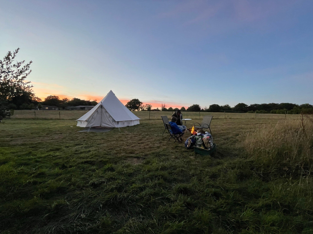 Moonacre Alpacas