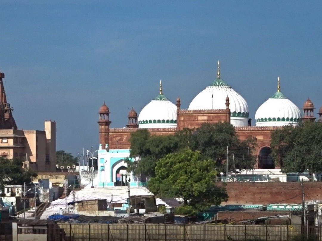 Shahi Eidgah Masjid景点图片