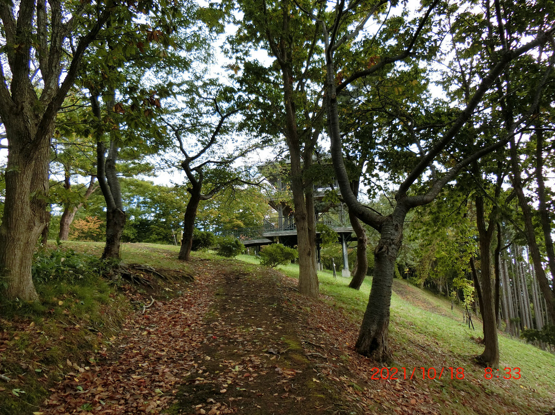 Hagiyama Observatory景点图片