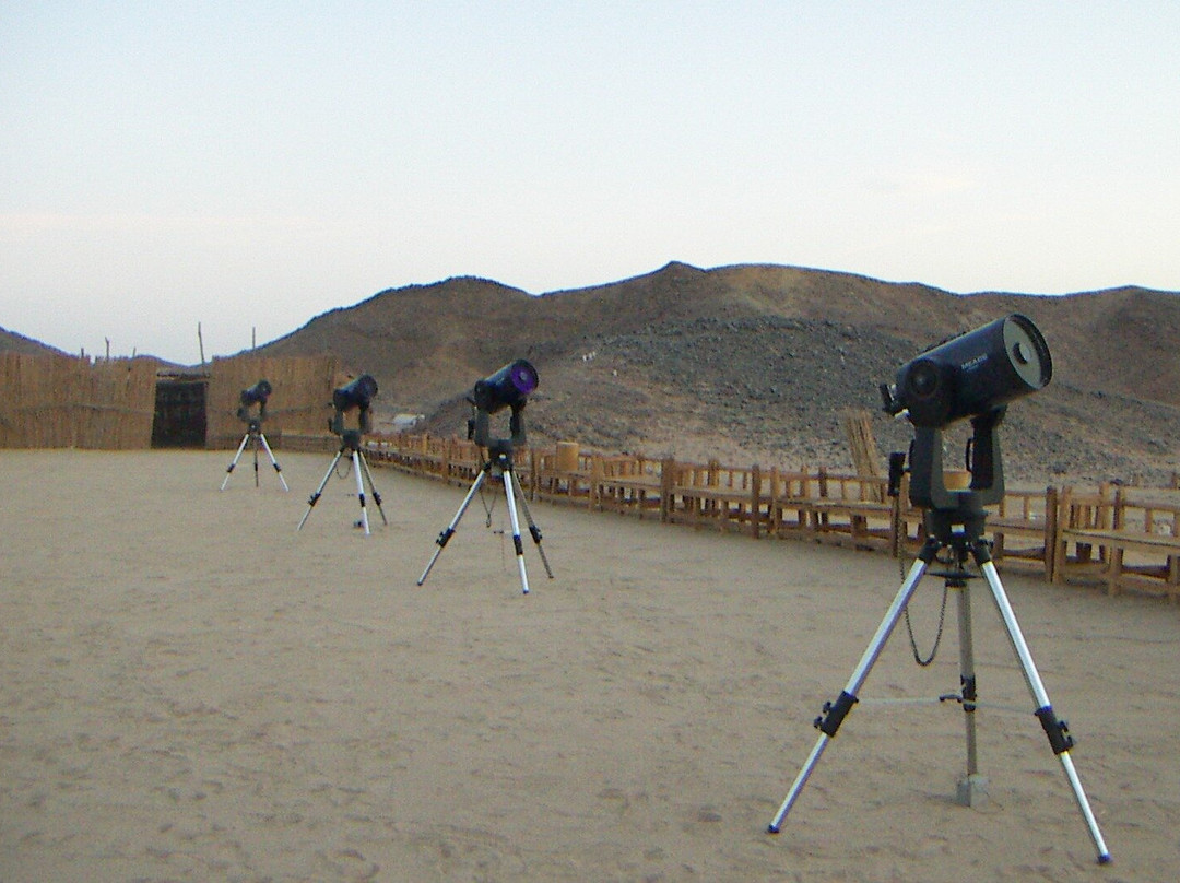 Star Gazing Safari