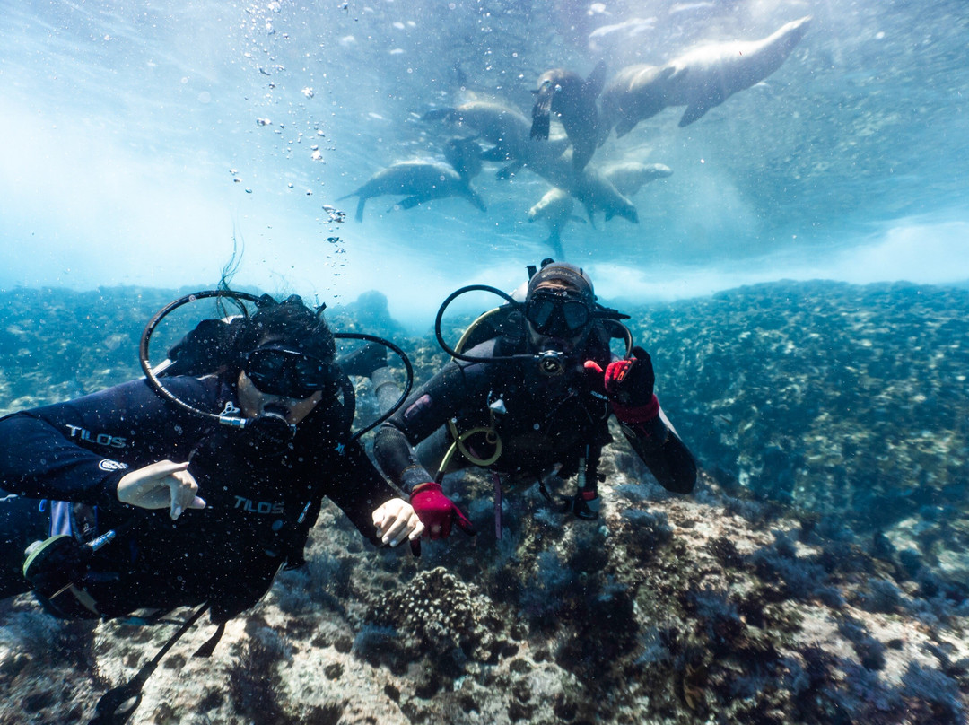 La ventana dive center-La Ventana必去景点