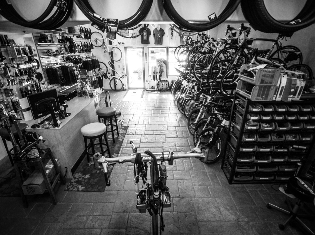 The BikeSmith-阿尔伯克基必去景点