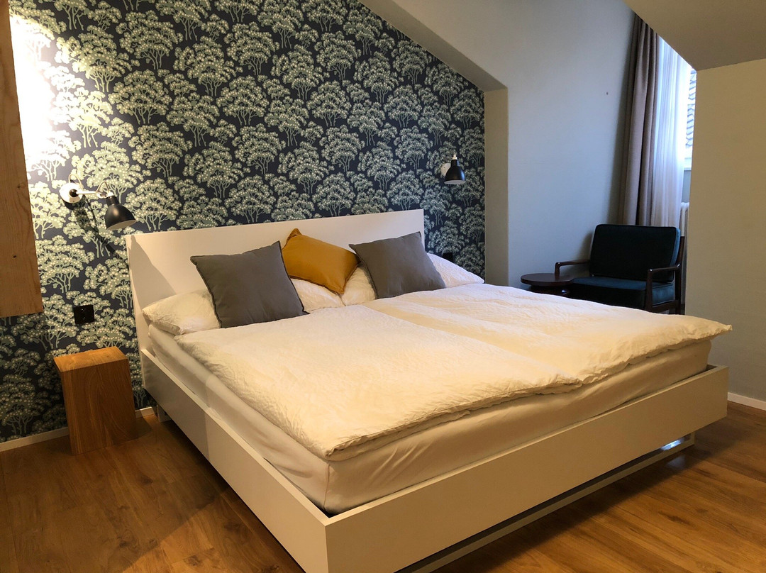 ADLER Boutique Hotel主图