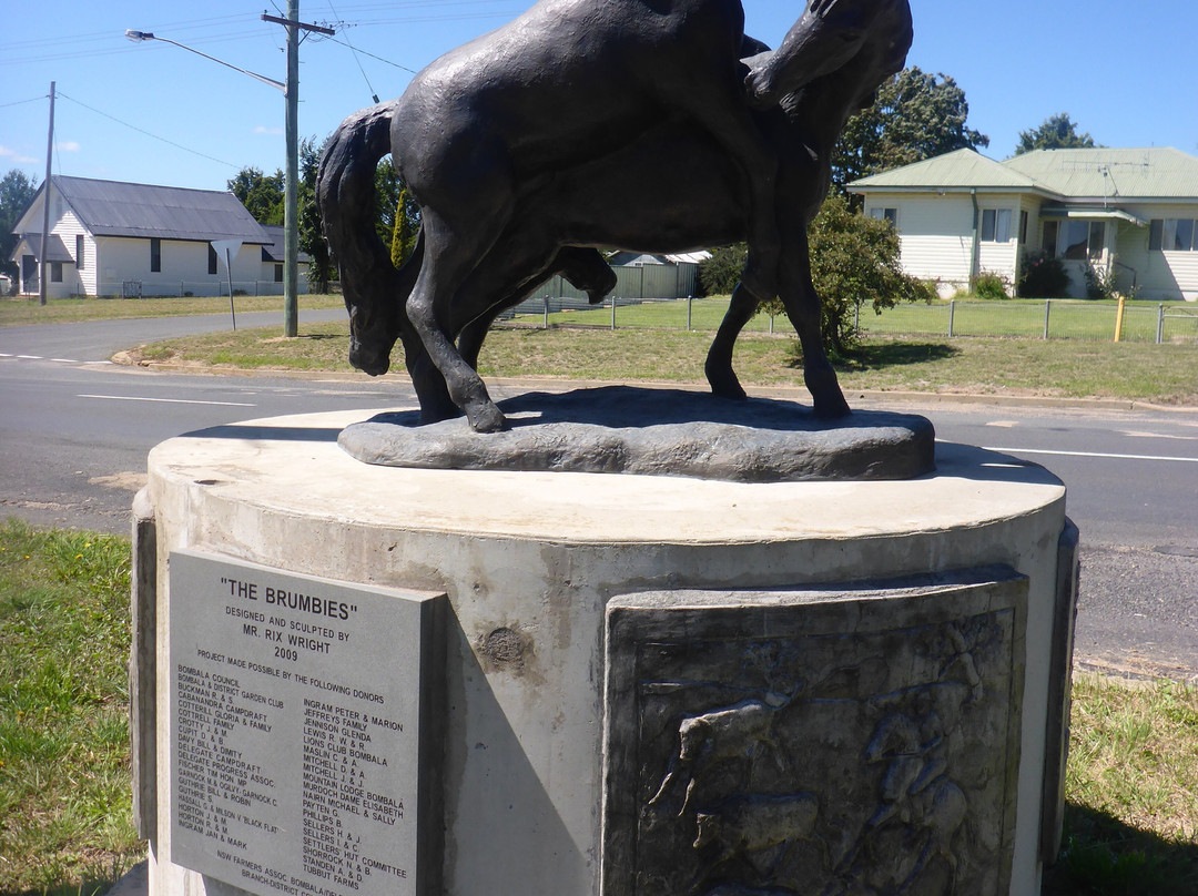 The Brumbies-Delegate必去景点