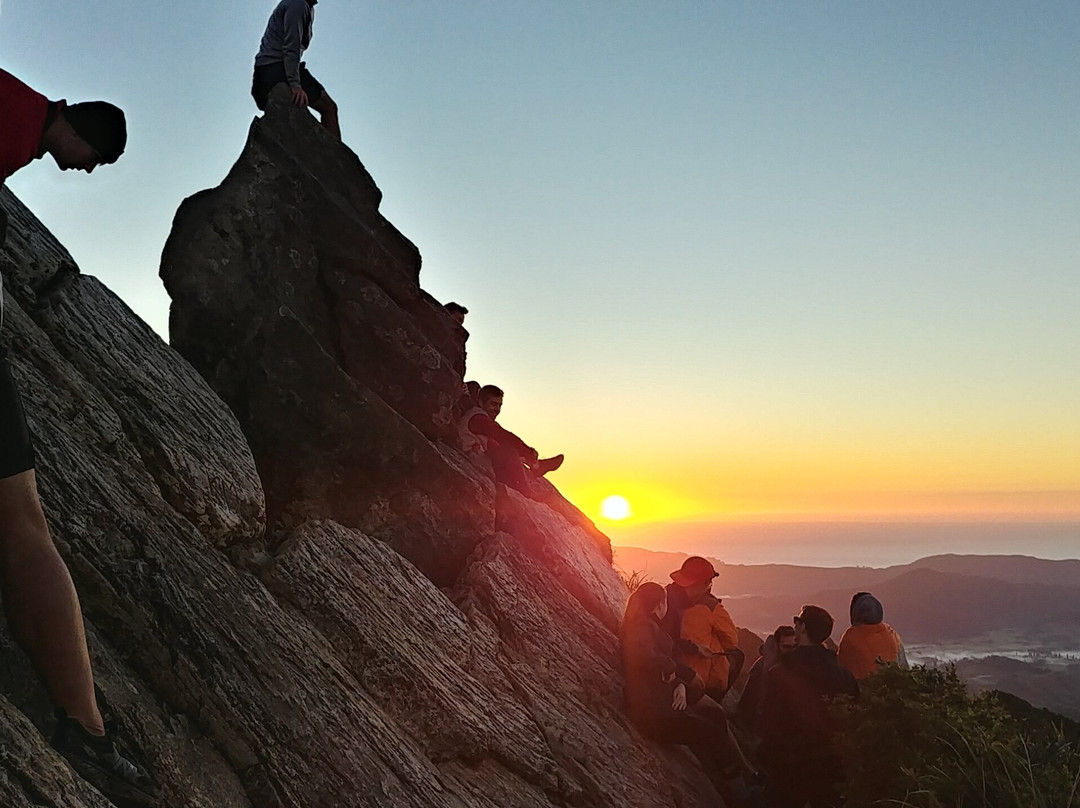 Kauaeranga Kauri Trail (Pinnacles Walk)景点图片