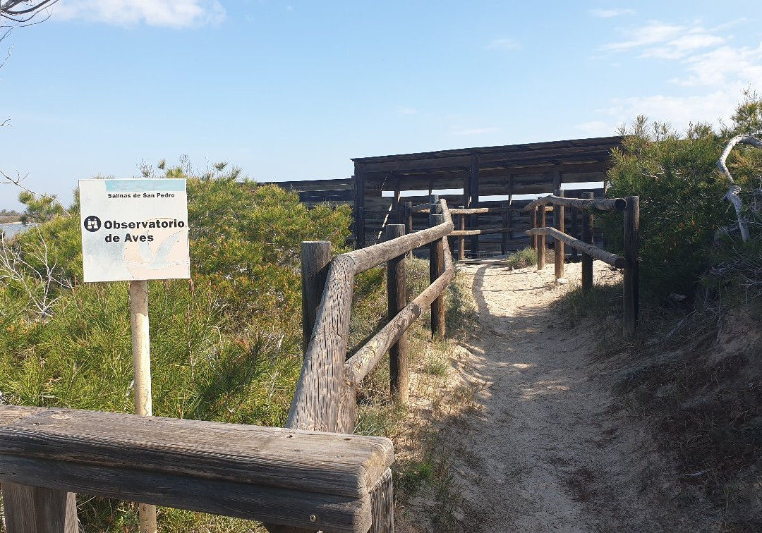 Mirador De Aves-San Pedro del Pinatar必去景点