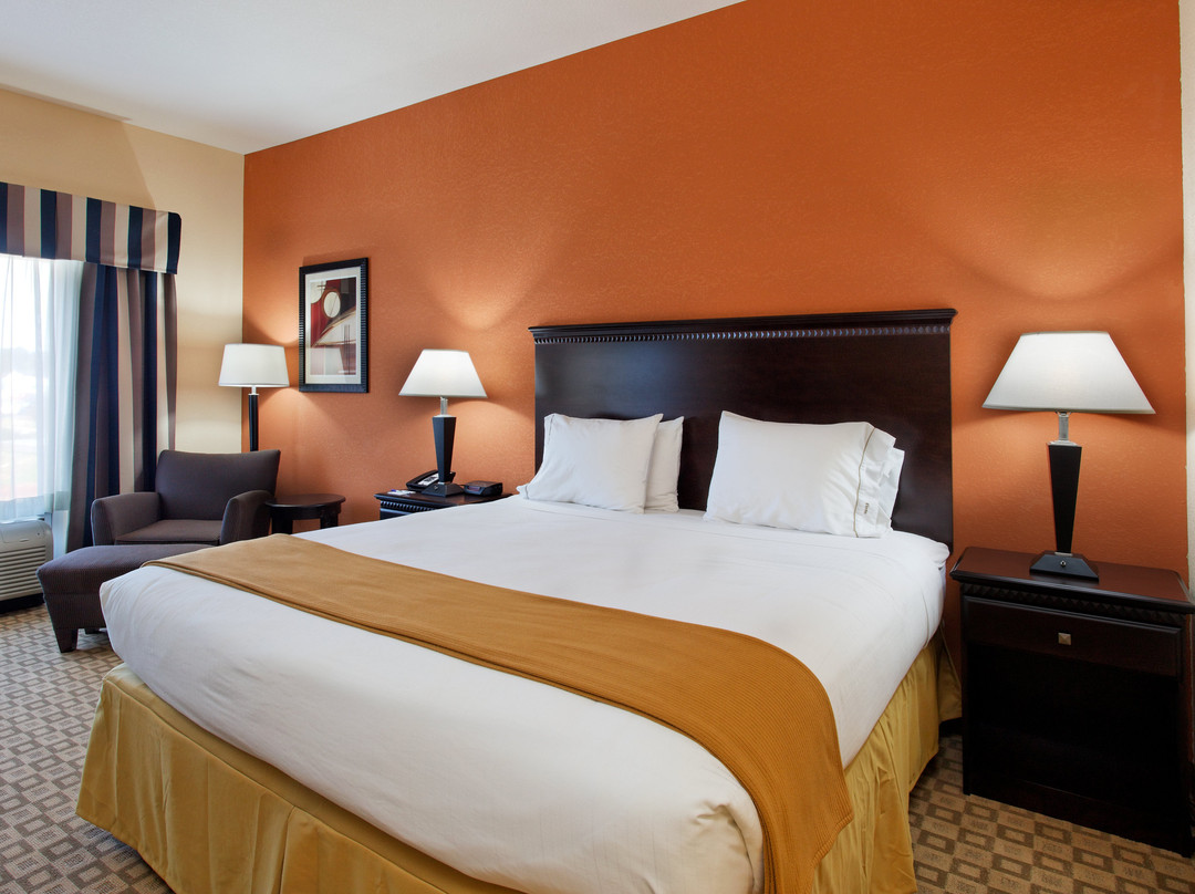 Holiday Inn Express & Suites Talladega By IHG主图
