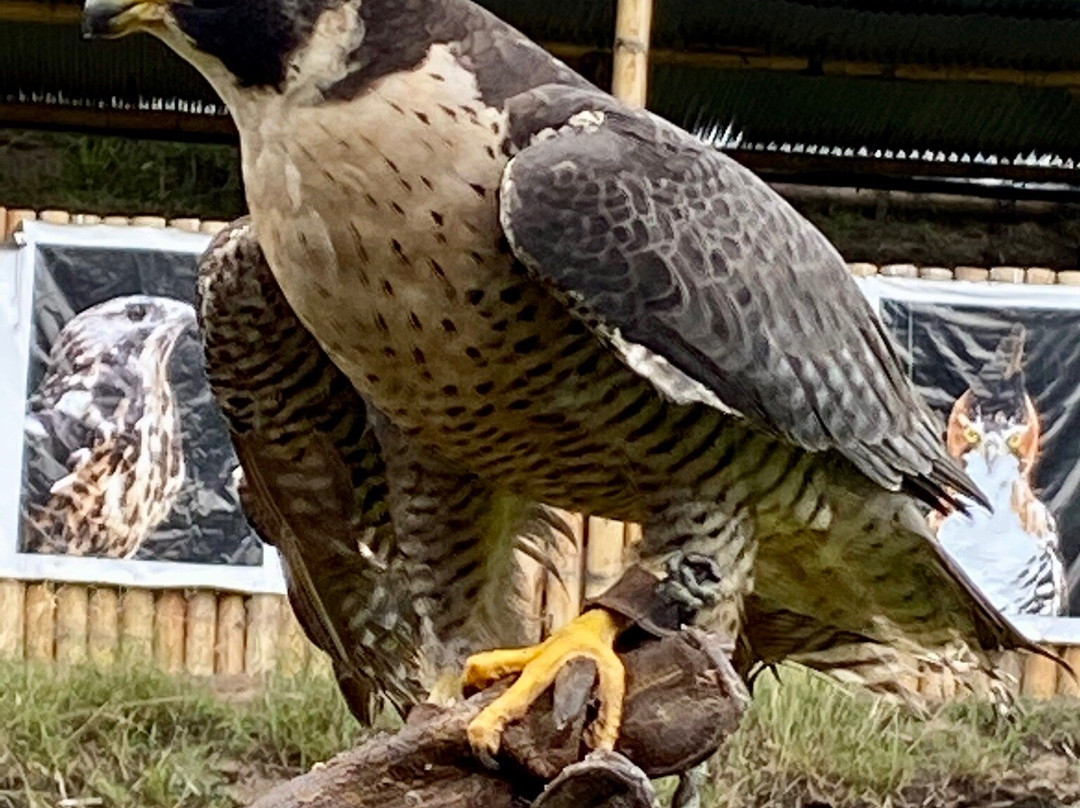 El Jardin Alado-Tumbaco必去景点