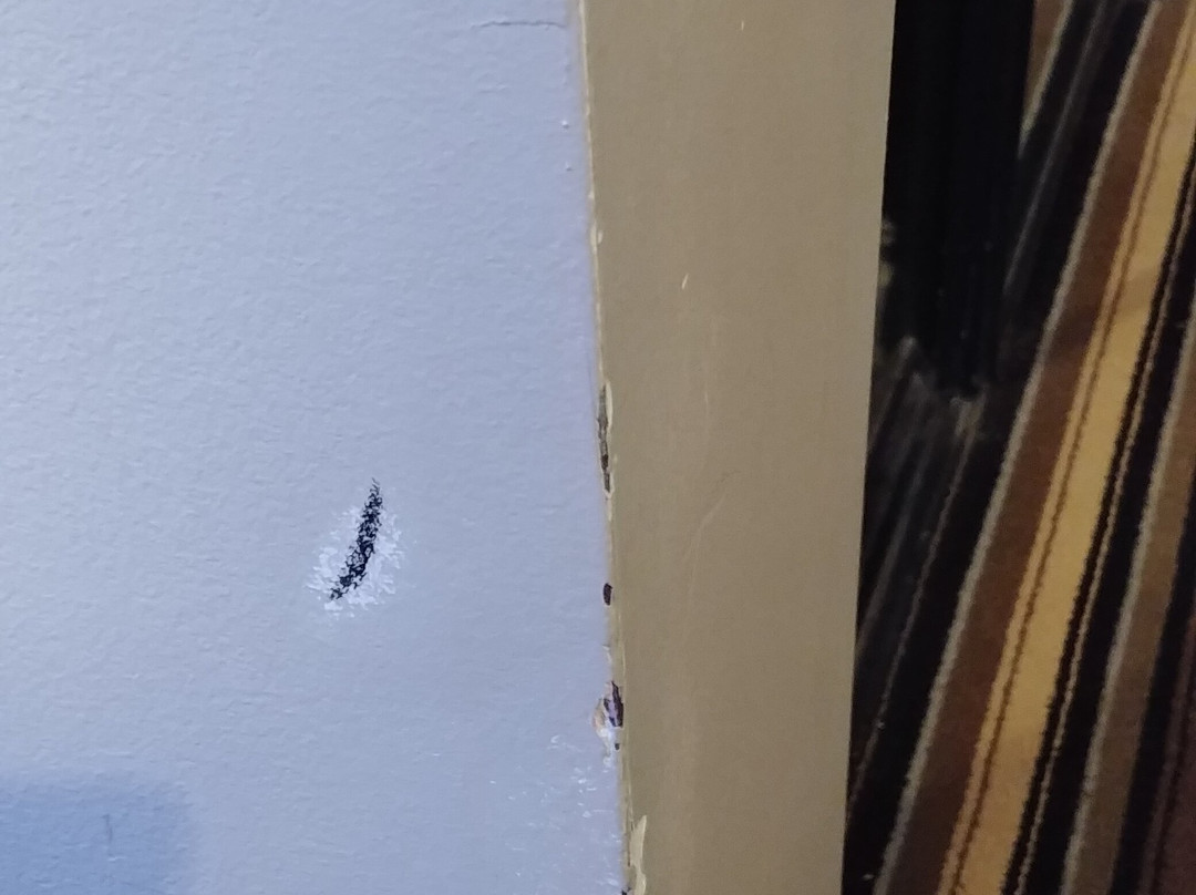 Complexe Le 60主图