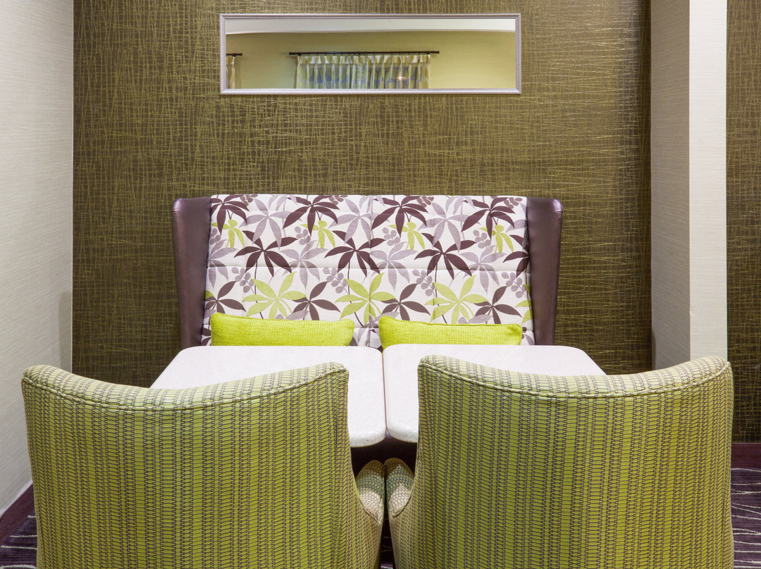 圣保罗 - 伍德伯里智选假日套房酒店主图