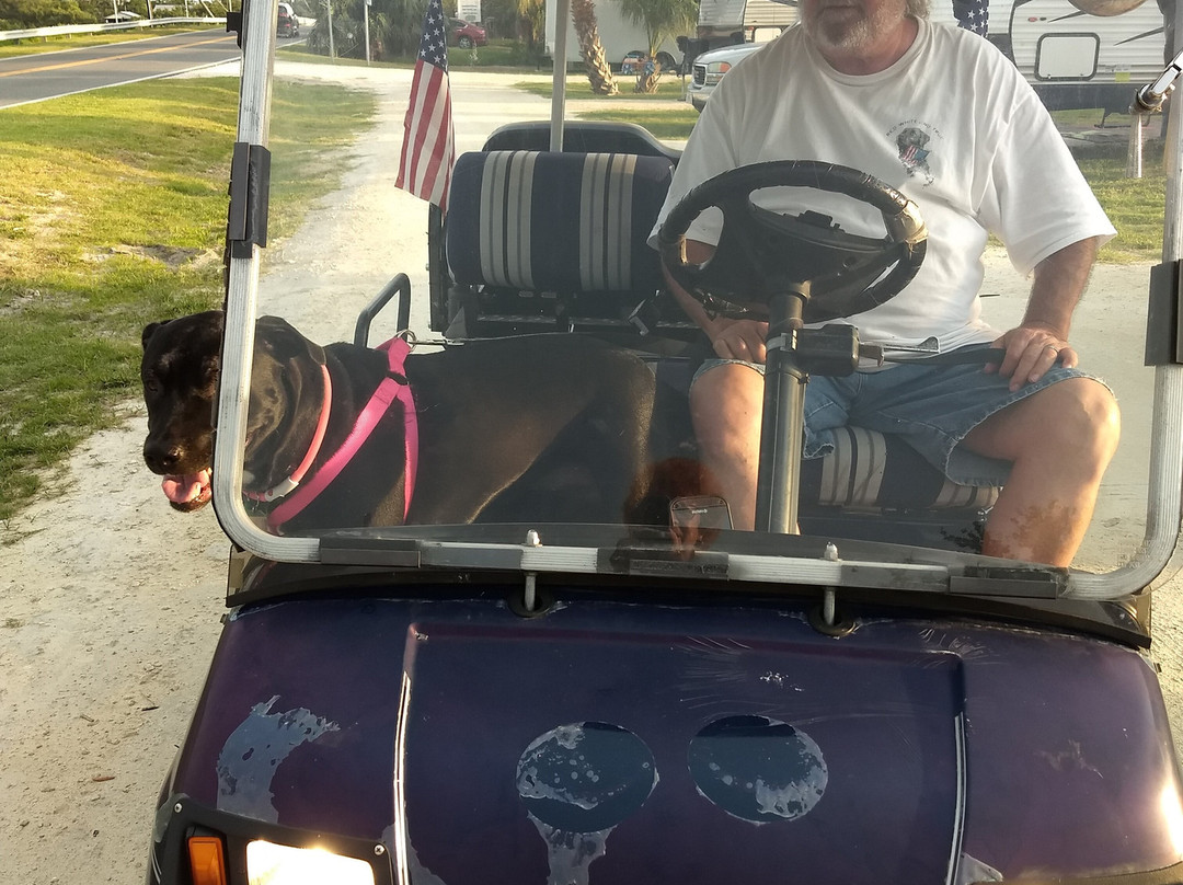 Cedar Key Adventures景点图片