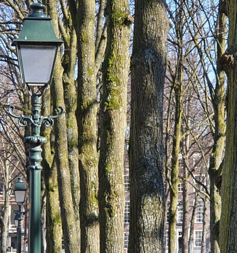 Lange Voorhout-海牙必去景点