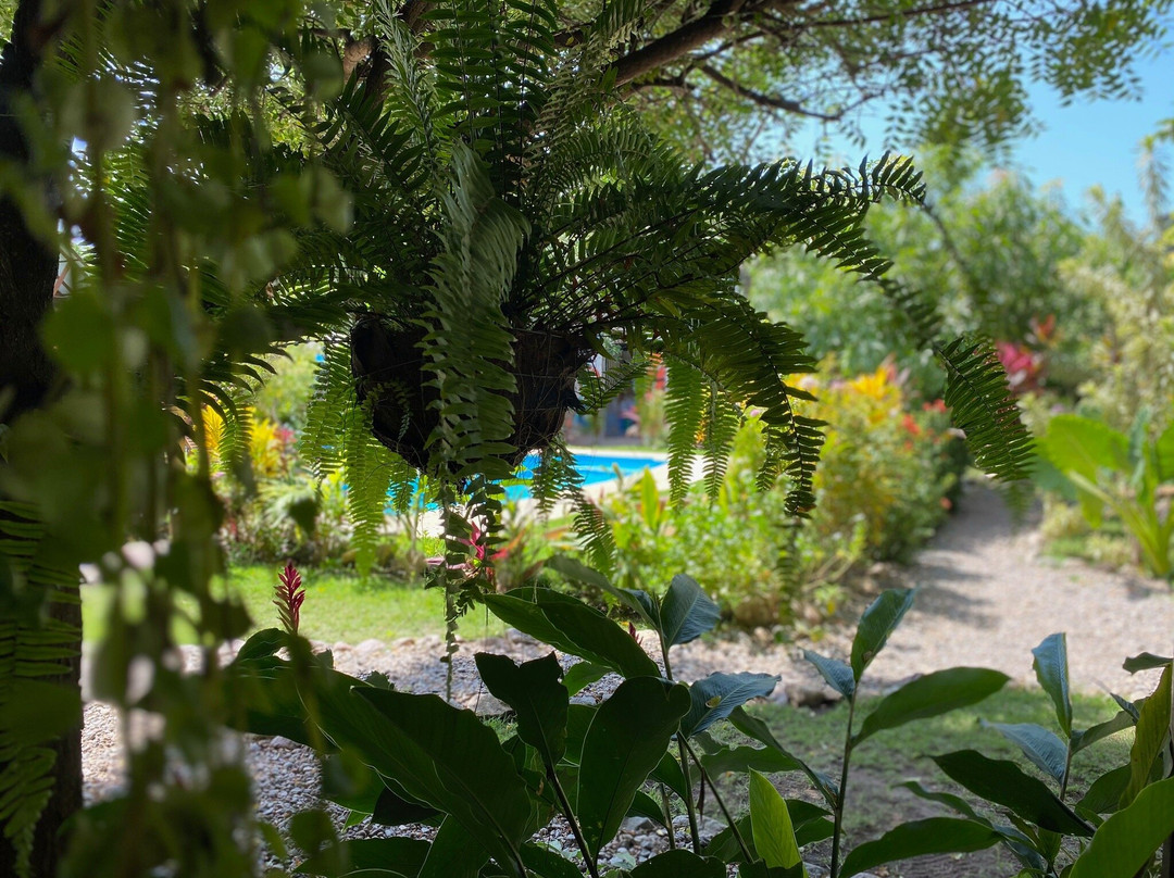 Nuba Boutique Hostel主图