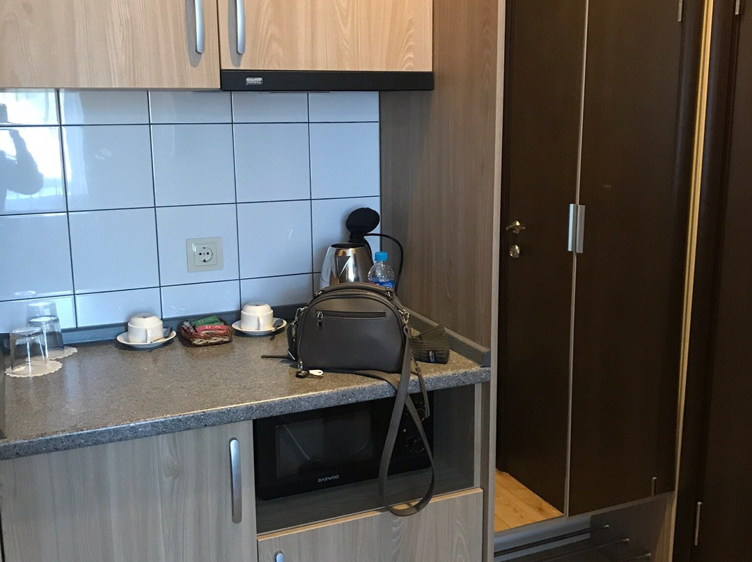 Mini-Apart-Hotel Skver主图