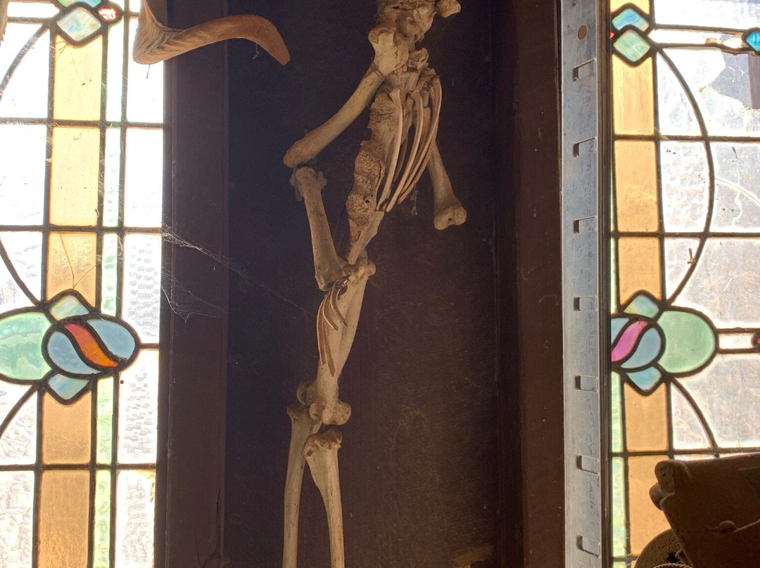 The Bottle House Mining Museum-Lightning Ridge必去景点