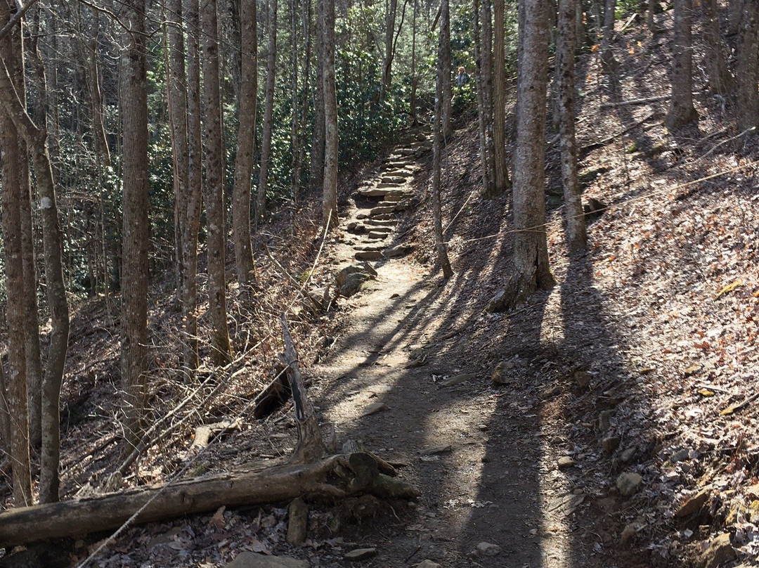 Byron Herbert Reece Trail景点图片