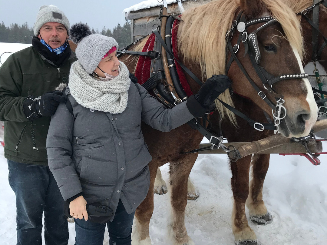 Country Dreams Farm-Plattsburgh必去景点