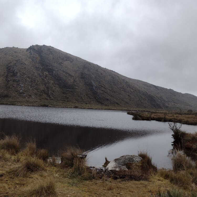 Parque Nacional Natural Sumapaz-波哥大必去景点