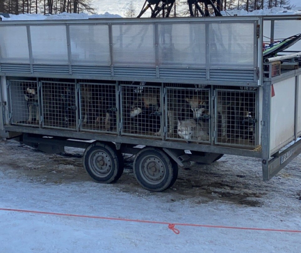 Husky Adventure景点图片